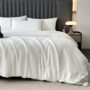 Axyaa Mulberry Silk Comforter, Winter Warm Silk Duvet Quilt Blanket