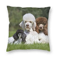Pink Convertible Pillowcase White Poodle Sofa Cushion Cover Axyaa Home Decor