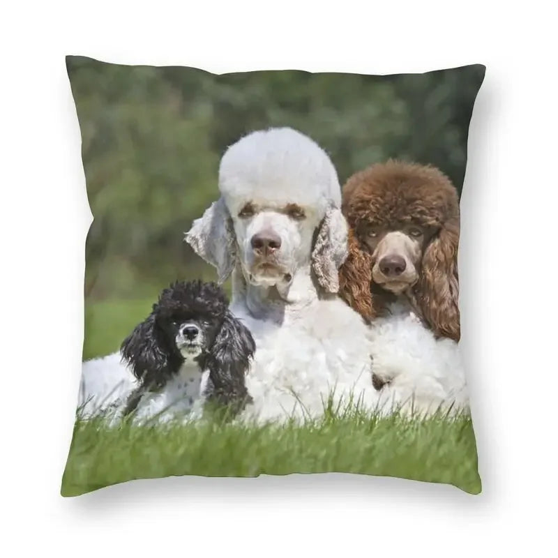 Pink Convertible Pillowcase White Poodle Sofa Cushion Cover Axyaa Home Decor