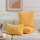 Axyaa Striped Corduroy Plush Velvet Pillowcases - 18x18 Inch Boho Cushion Cover