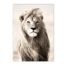 Axyaa Reed Lion Landscape Canvas Print Wall Art for Nordic Living Room Decor