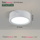 Axyaa LED Downlight Ceiling Lamp, Ultra Thin, Modern Design, Bedroom Living Room Lighting