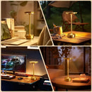 Axyaa Rechargeable Wireless Touch Lamp for Bedroom, USB-C, Camping Candle, Desk Lamp