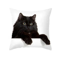 Axyaa Black Cat Pillowcases - Cute Kitty Design for Animal Lovers