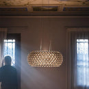 Axyaa Clear Gold Acrylic Pendant Light for Modern Dining Room décor.