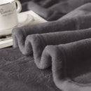 Axyaa Cozy Plush Fleece Blanket for Bed Sofa - All Season Lightweight Warm Winter Blanket