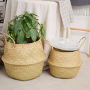 Axyaa Seagrass Rattan Basket: Toy & Flowerpot Organizer, Hanging Storage Bin