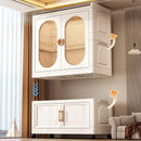 Axyaa Foldable Wardrobe,Cabinet with Magnetic Doors,Multi-Layer Organizer
