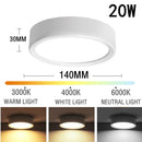 Axyaa 25W LED Downlight Ceiling Light Three Color Spotlights Large Area Lighting