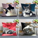 Axyaa Pet Cat Bed Pillowcase - Cute Animal Printed Cushion Cover
