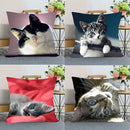 Axyaa Cat Print Cushion Cover for Home Sofa Car Bed