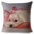 Maltese Dog Pillow Cover by Axyaa - Decorative Cushion Case for Home and Car