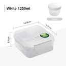 Axyaa Portable 4-Compartment Salad Lunch Box for Adult/Kid/Toddler