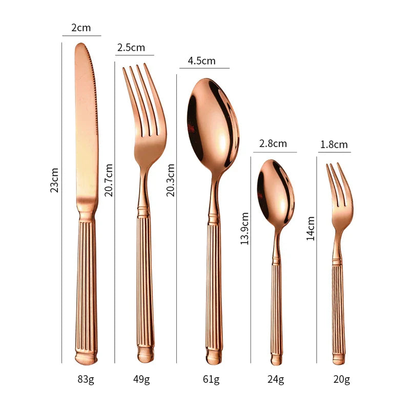 Axyaa Stainless Steel Cutlery Set for Western Dining