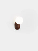 Axyaa Resin Wall Light for Modern Room Decor