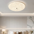 Axyaa Smart LED Ceiling Light for Nordic Home Decor & Bedroom, Dimmable Indoor Lighting