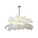 Axyaa Ostrich Feather LED Pendant Chandelier for Living Room and Bedroom