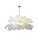 Axyaa Ostrich Feather LED Pendant Chandelier for Bedroom & Living Room