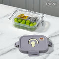 Axyaa Portable Clear Compartment Lunch Box for Students and Kids