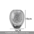 Axyaa Desktop Glass Vase Decoration Ornament Hydroponic Decor Dried Flower Vase Bouquet