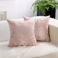 Axyaa Ice Plush Pillow Cover in Soft Cozy Blue Gold Green Pink Brown Solid Decoration