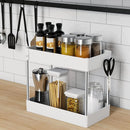 Axyaa Under Sink Organizer with 2 Tier Storage Rack for Kitchen Cabinet