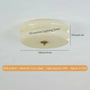 Axyaa Modern Glass LED Ceiling Lamp Circle Pendant Living Room Bedroom White