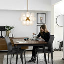 Axyaa Glass Bubble Pendant Chandelier for Modern Room Decor