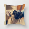 Axyaa French Bulldog Cushion Cover - 45X45CM