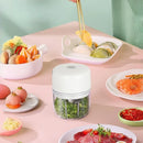 Axyaa Electric Meat Grinder & Vegetable Chopper - Rechargeable, High-Speed Motor, Portable & Efficient