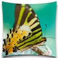 Axyaa Spider & Butterfly Print Decorative Pillow Case for Home Decor