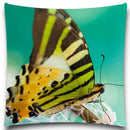 Axyaa Spider Butterfly Print Pillow Case for Home Decor