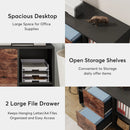 Axyaa 2 Drawer Mobile File Cabinet with Shelves and Rolling Wheels
