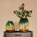 Axyaa Green Gradient Glass Vase for Creative Home Decor and Flower Arrangements