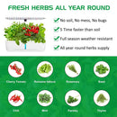 Axya Indoor Herb Garden Kit with Automatic LED Grow Lights & Smart Water Pump