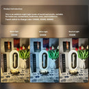 Axyaa LED Crystal Touch Table Lamp: Three-color Light Change, Romantic Bedroom Night Light