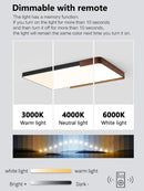 Axyaa Modern Minimalist Ceiling Lamp Luxury Room Lighting Nordic Style