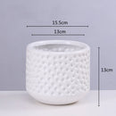Axyaa Gold Ceramic Succulent Flowerpot Vase Balcony Decor Plant Pots