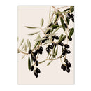 Axyaa Green Tree Landscape Canvas Print - Nordic Living Room Wall Art Decor