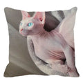 Cute Axyaa Sphinx Cat Cushion Cover 45X45cm - Home Sofa Decoration Pillowcase