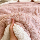 Axyaa Plush Fleece Double Layer Wool Bed Blanket Wool Throw Cozy Blanket