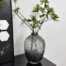 Axyaa Frosted Glass Vase - Elegant Decor for Living Room with Transparent Design