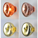 Axyaa Nordic Rose Gold LED Wall Lamp for Indoor Spaces