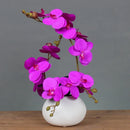 Ceramic Butterfly Orchid Vase for Home Decor Axyaa Orchid Collection