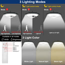 Axyaa Solar Motion Sensor Pendant Light - Indoor/Outdoor Dimmable Shed Lamp