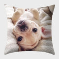 Axyaa French Bulldog Polyester Cushion Cover - Modern Sofa Throw Pillow Cover