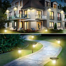 Axyaa Solar Garden Spot Light with Human Body Induction for Outdoor Pathway Lighting