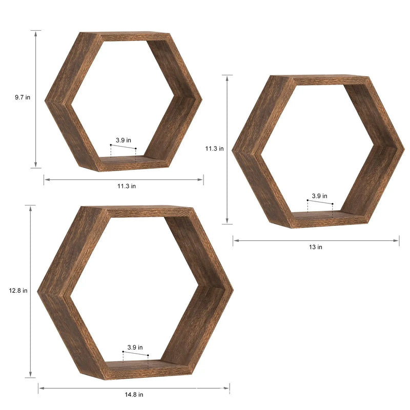 Axya Wooden Hexagonal Succulent Plant Frame Wall Decoration Frame