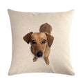 Axyaa Dog Cushion Covers Collection