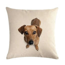 Axyaa Dog Cushion Covers Collection